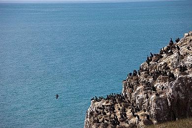 《忍龙》系列诞生21周年 安田文彦发信感谢玩家支持